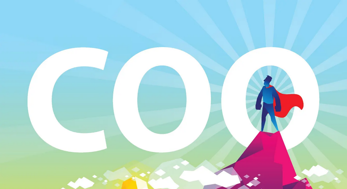 NEEZ Global Solutions Confirms Chief Operating Officer Appointment to Lead Six-Division Integrated Operations